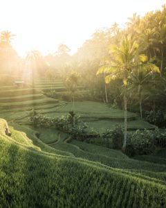Read more about the article Gunung Batur Bali: Keindahan Alam yang Menakjubkan