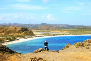 Read more about the article Wisata Kuliner Ayam Taliwang Lombok yang Lezat